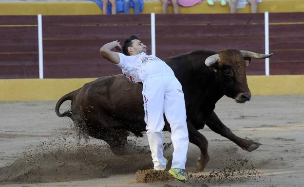 Programa de las fiestas de Pollos 2018