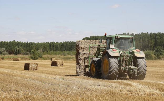 La cosecha supera los 1,2 millones de toneladas en Palencia