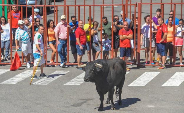 Rueda repartirá 300 litros de verdejo después de la suelta del principal toro de sus fiestas