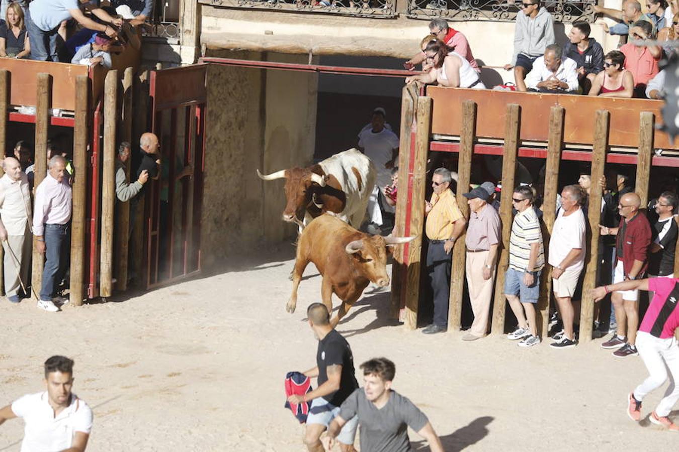 Primer encierro en Peñafiel