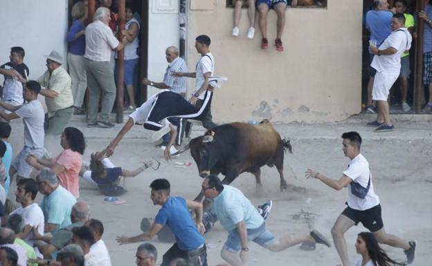 Un novillo salta fuera del redondel y siembra el caos en la capea de Peñafiel