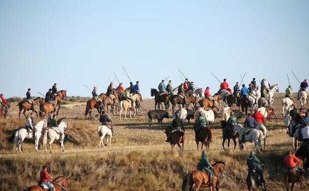 Un máximo de 373 caballistas guiarán el ganado en los encierros de Cuéllar