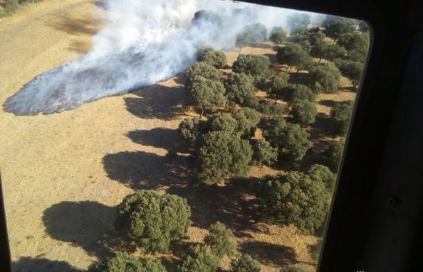 Extinguido el incendio declarado ayer en Morasverdes