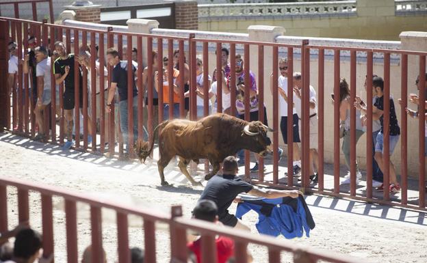 Esencia taurina en Viana