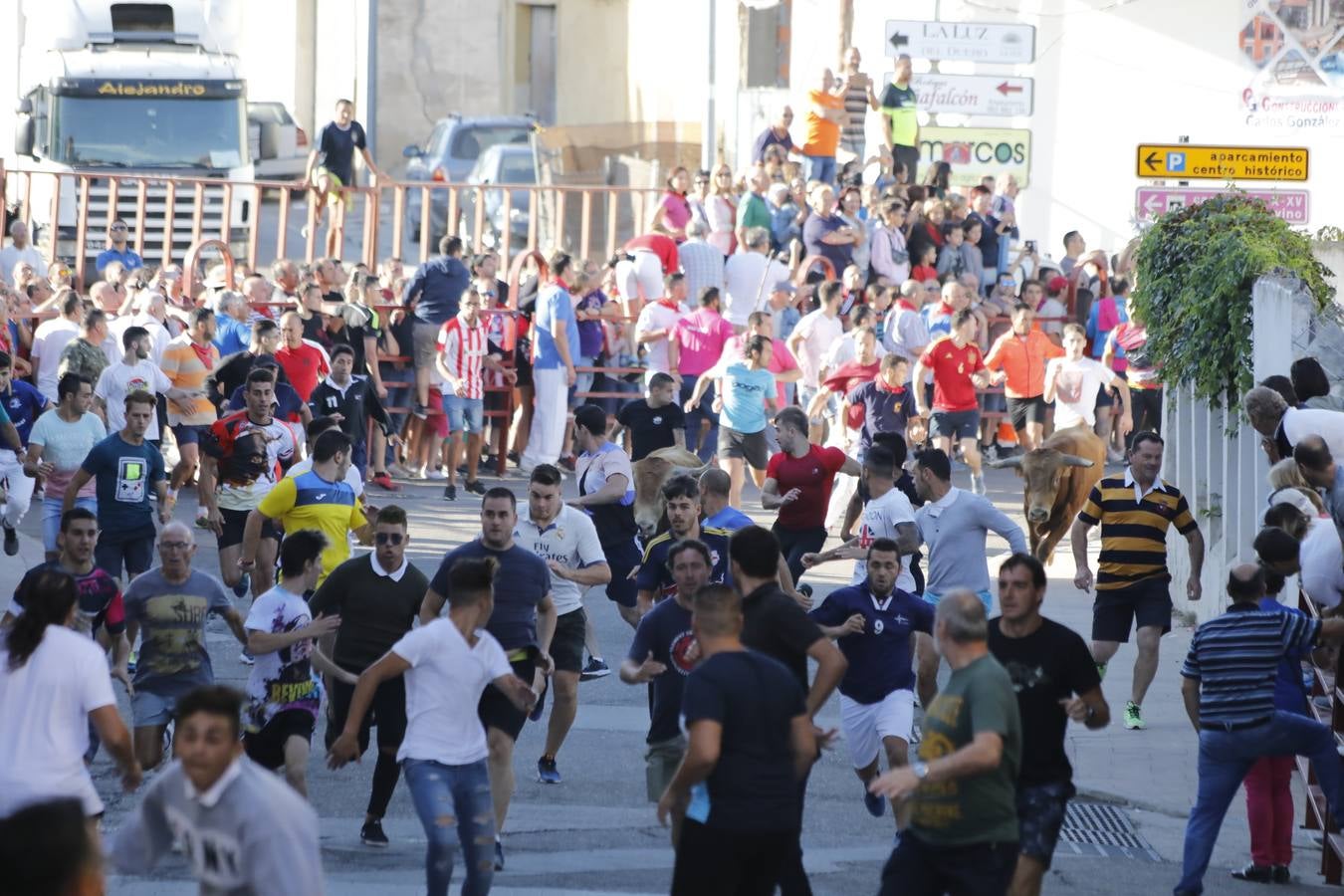 Encierro mañanero en Peñafiel. Jueves