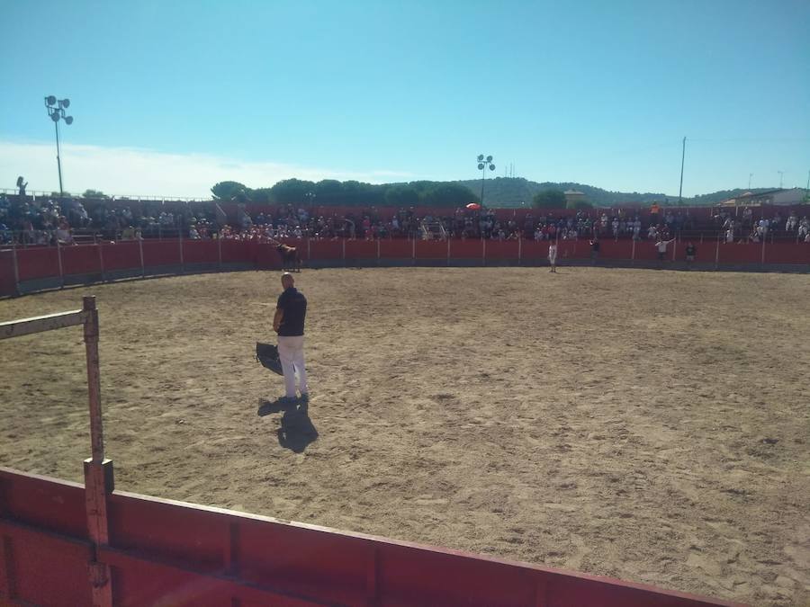 Día de San Roque en Tudela de Duero