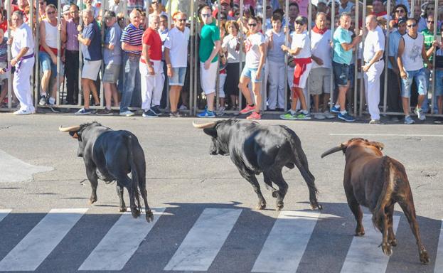 Las peñas toman el protagonismo en Tudela en la jornada del patrón