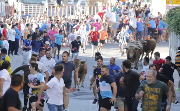 Encierro rápido y limpio esta mañana en Peñafiel