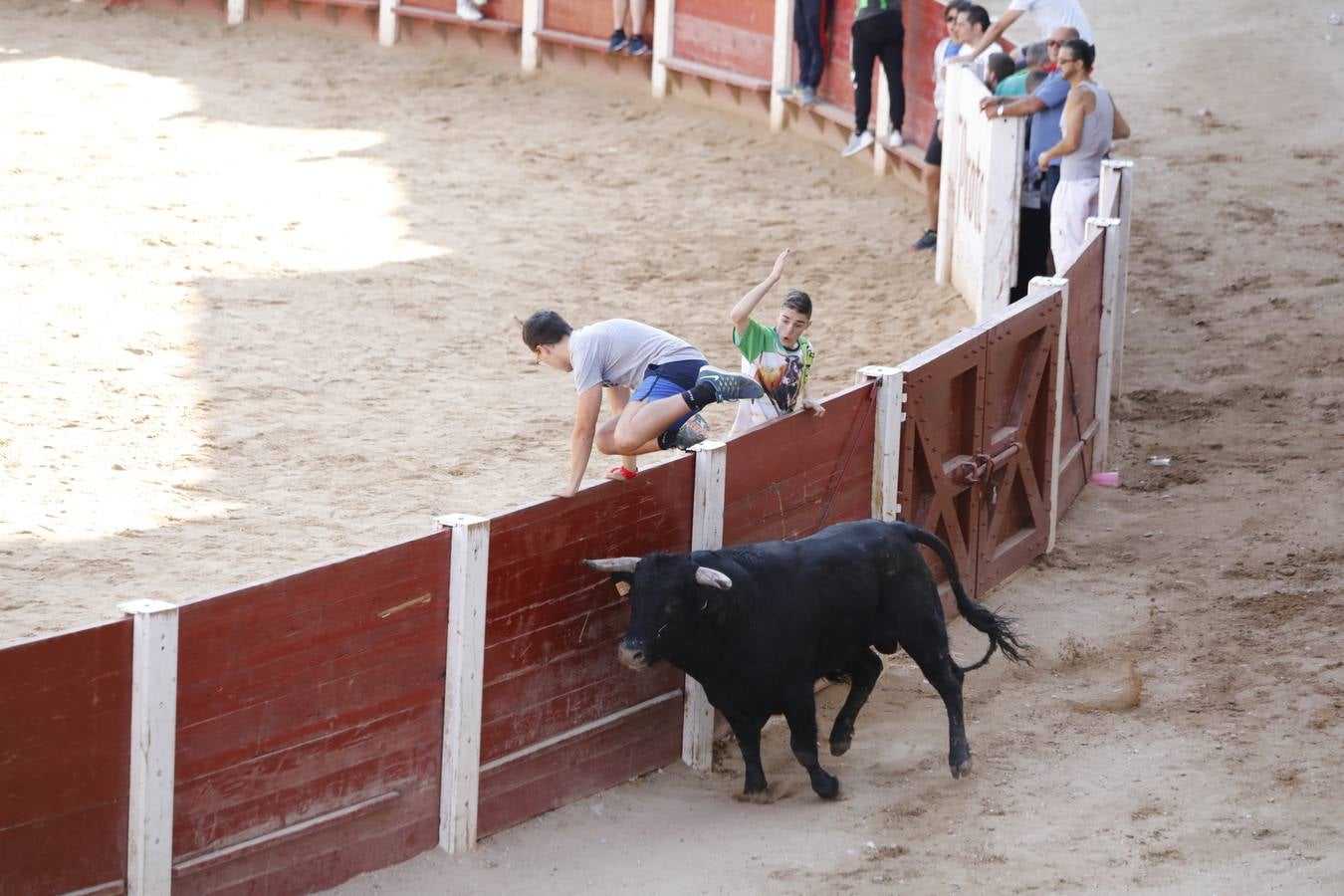 Tercer encierro en Peñafiel