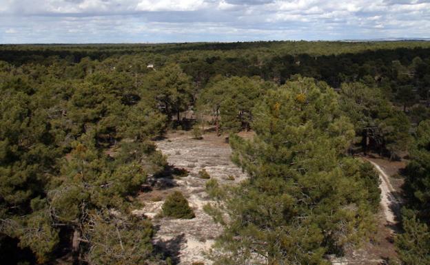 El PSOE reclama más medios contra los incendios en la comarca de Cuéllar