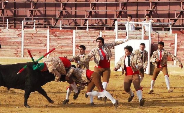 Los forcados portugueses triunfan en los festejos de Mozoncillo