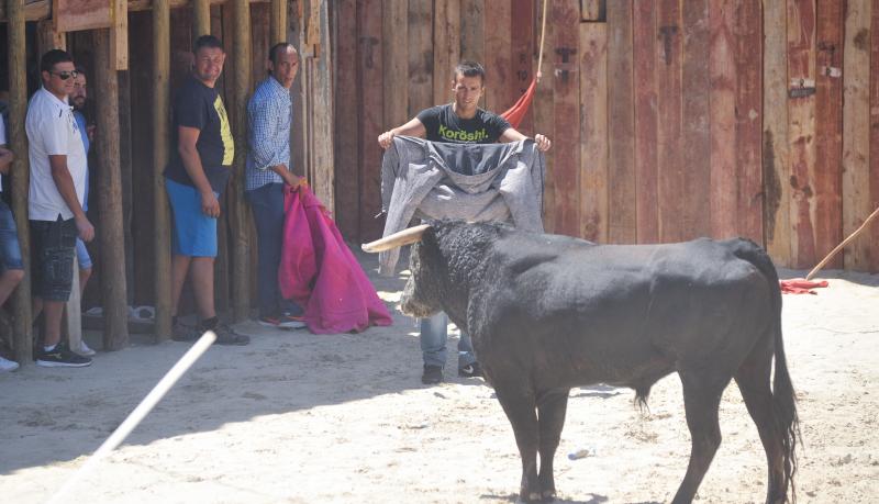 Los encierros abarrotan Serrada