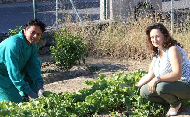 Cáritas Segovia imparte un curso de horticultura ecológica para desempleados
