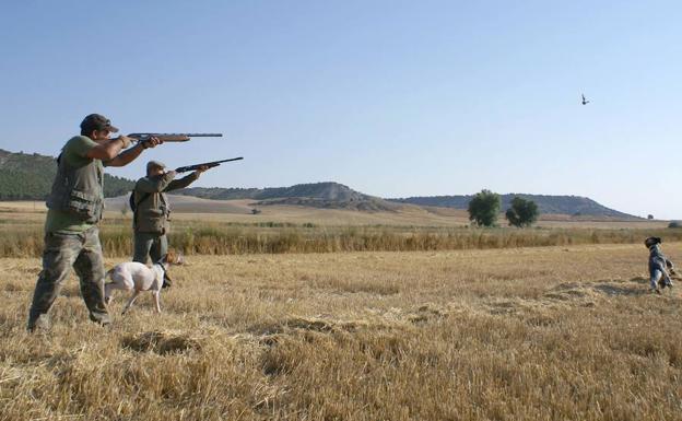Cerca de 4.000 cazadores de la provincia se enfrentan a una temporada «floja»