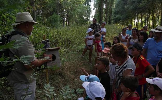 Conociendo la fauna de Castrodeza