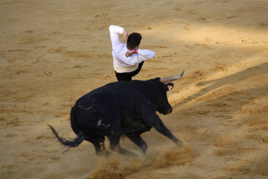 VIII Concurso de cortes de Cuéllar