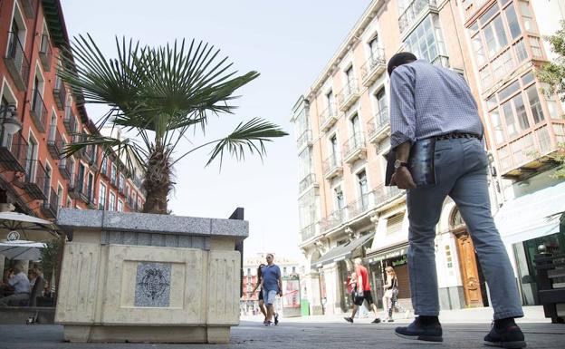 La Policía limitará el acceso a la Plaza Mayor en conciertos como el de OT si se superan las 24.000 personas