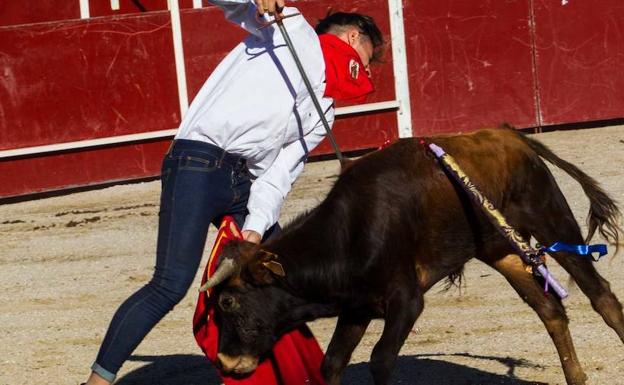 Los animalistas denuncian la «terrible tortura» en la becerrada de San Rafael