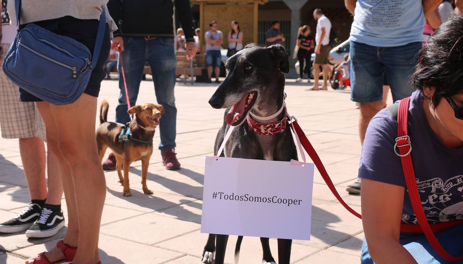 Protesta en Santovenia por la muerte del perro Cooper