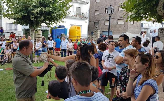 Las exhibiciones ponen fin a 18 días de fiestas con una gran participación