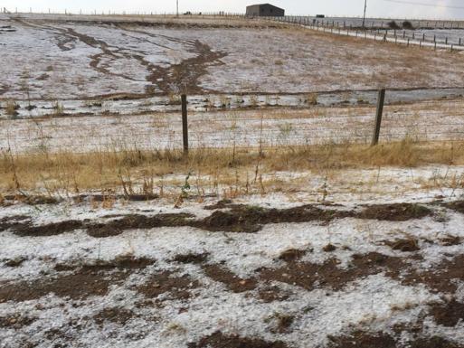 Una espectacular granizada anega la carretera entre San Felices y Olmedo y afecta a los cultivos