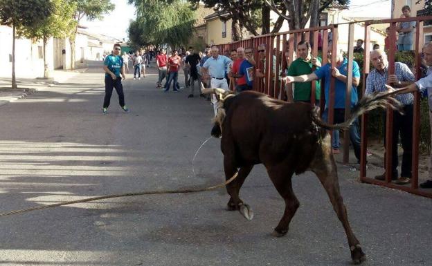 Programa de las fiestas de Villafrechós 2018