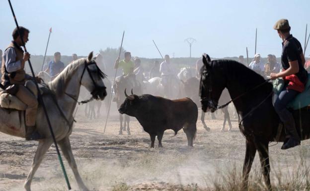 Programa de las fiestas de Tordesillas 2018