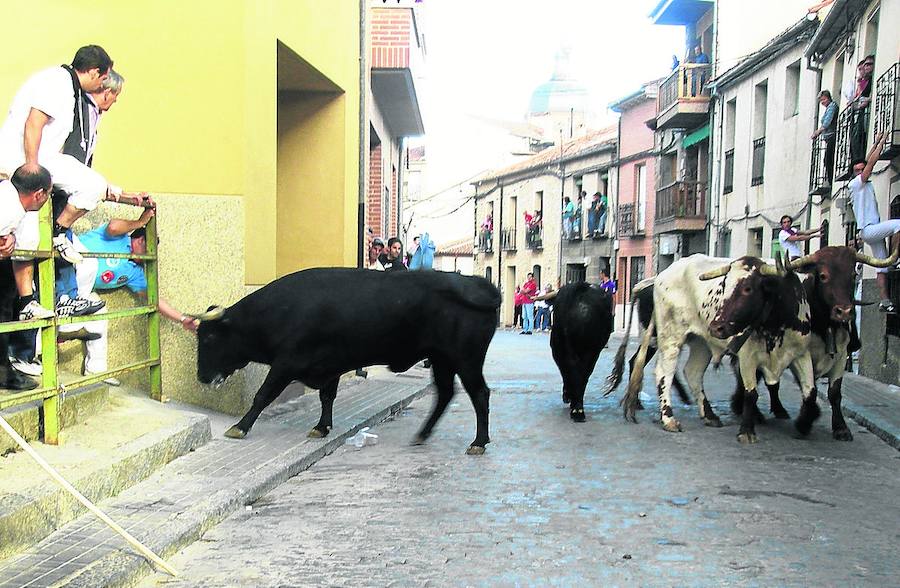 Los toros como seña de identidad