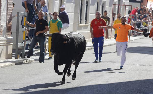 Encierros y música llenan de público las calles de Laguna de Duero