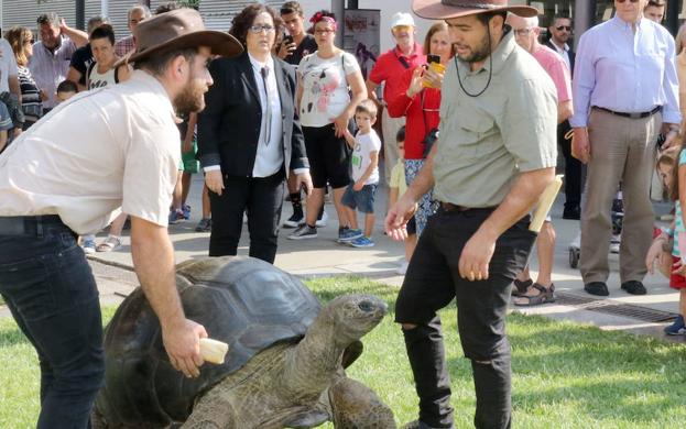 El último día de fiestas no te puedes perder...