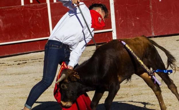 La Junta recibe una segunda denuncia por la becerrada de San Rafael