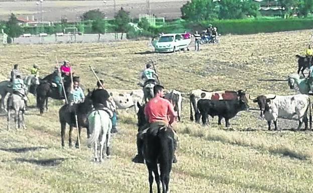 Nava del Rey clausura sus fiestas con «el mejor encierro de la historia»