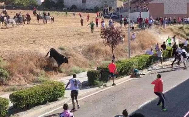 Susto sin consecuencias en el encierro campero de Portillo