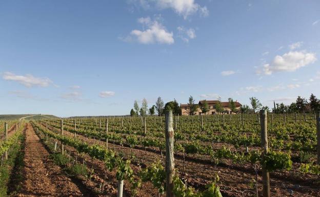 La Junta pide la inscripción en el registro comunitario de la DOP Heredad de Urueña