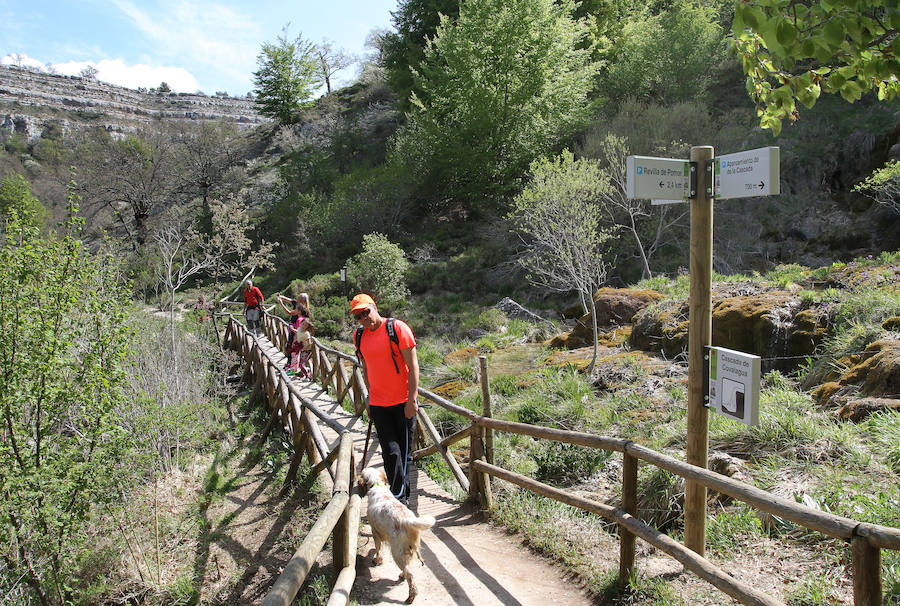 El compromiso de la comarca, clave del éxito de Las Loras