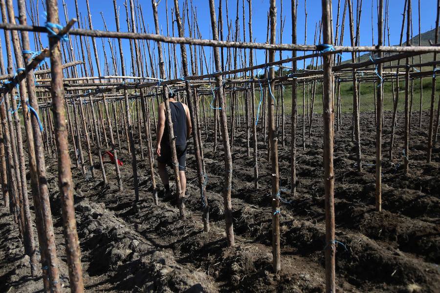 La marca Judión de La Granja incrementa su producción un 175% en cuatro años