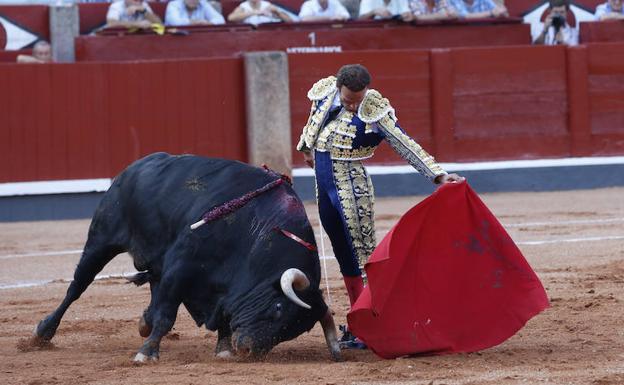 El astado 'Liricoso', propuesto para el premio 'Toro de Oro' de la Feria de Salamanca