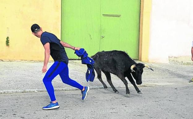 Berrueces concluye sus fiestas con un encierro y suelta de vaquillas