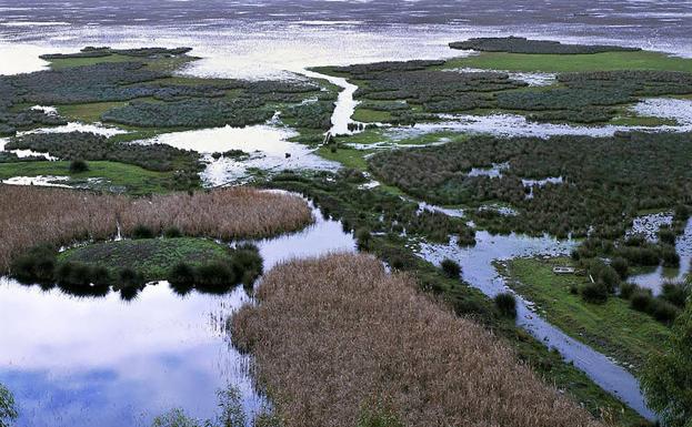 Los parlamentarios europeos chequean la salud medioambiental de Doñana
