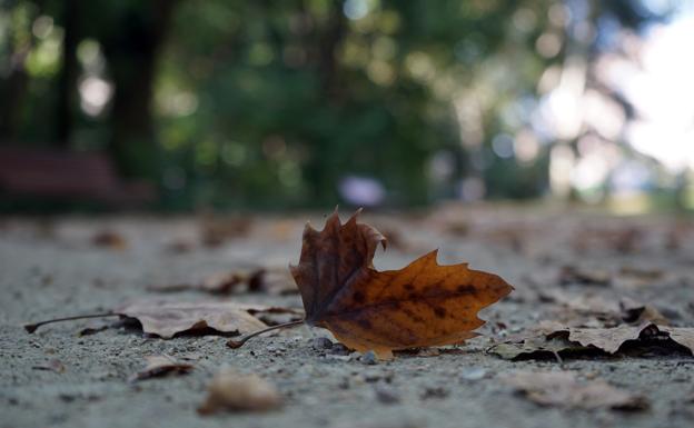 El otoño llegará a Valladolid con un intenso calor este domingo