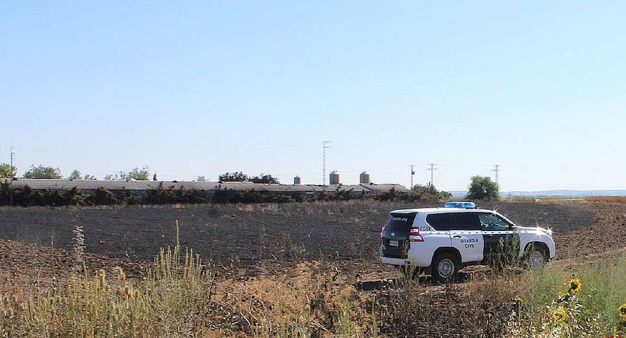 Un vehículo averiado causó el incendio de Veganzones en el que murieron 337 animales