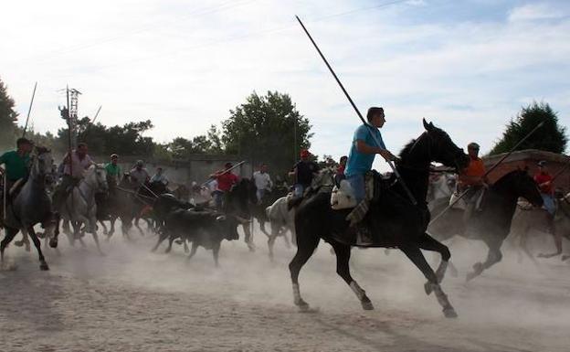 Solo tres toros terminan el primer encierro campestre de Nava