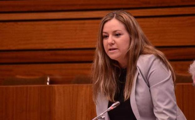 Ciudadanos lamenta el «nulo compromiso» de Educación con las familias de Ávila que buscan centro escolar para sus hijos