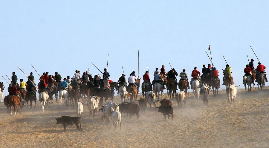 De Santiago-Juárez descarta «blindar» los espectáculos taurinos populares