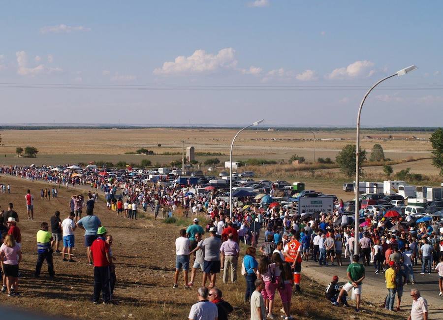 Segundo encierro campero de las fiestas de Olmedo