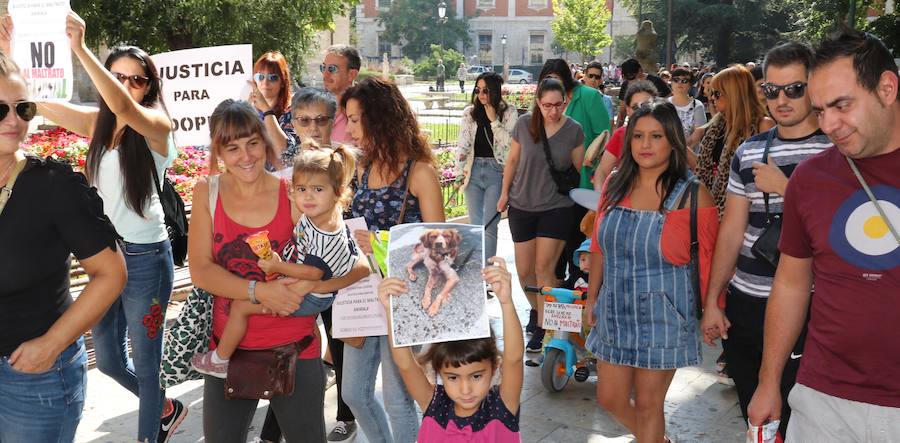 Cerca de 800 personas reclaman justicia para el perro Cooper en Valladolid