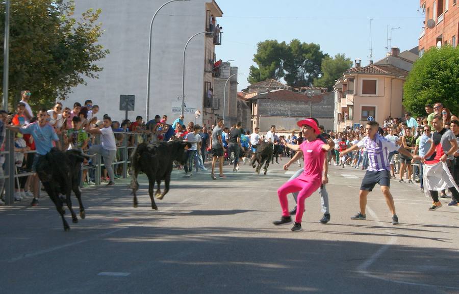 La fiesta vuelve a Cuéllar por San Miguel