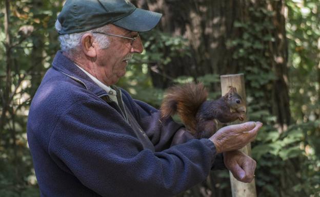 Llega el otoño al Campo Grande