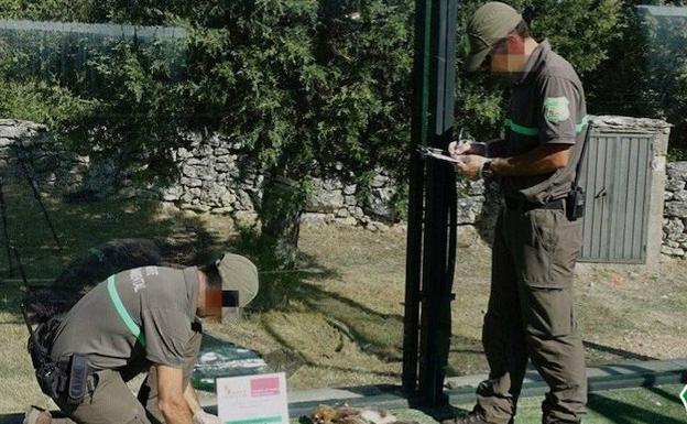 Los agentes forestales y medioambientales exigen protección ante las agresiones