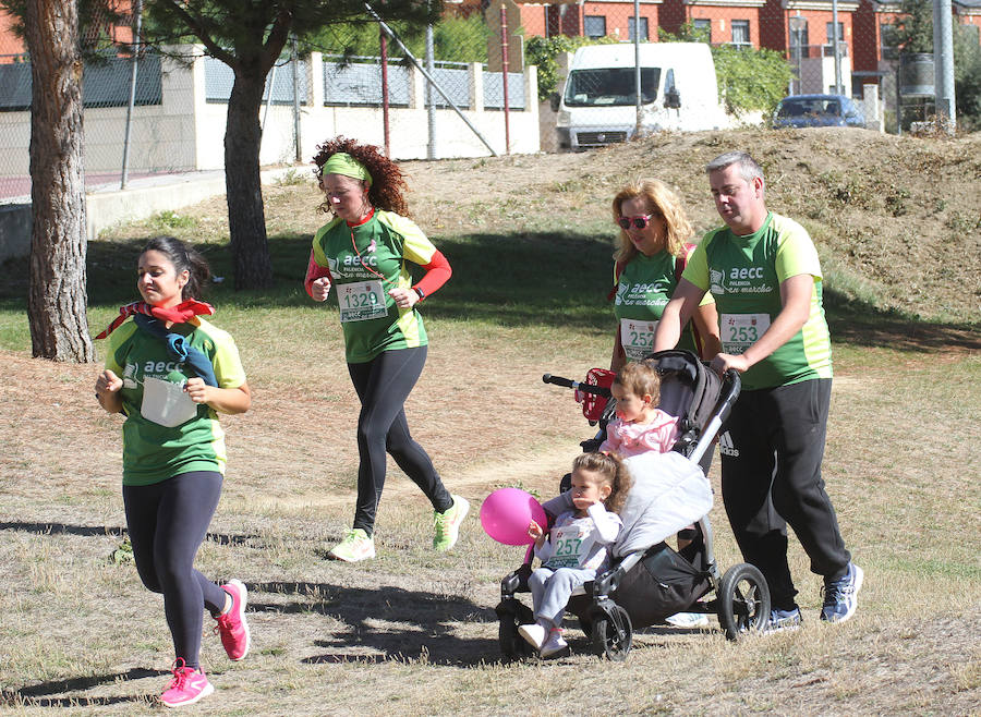 Marcha contra el cáncer en Palencia